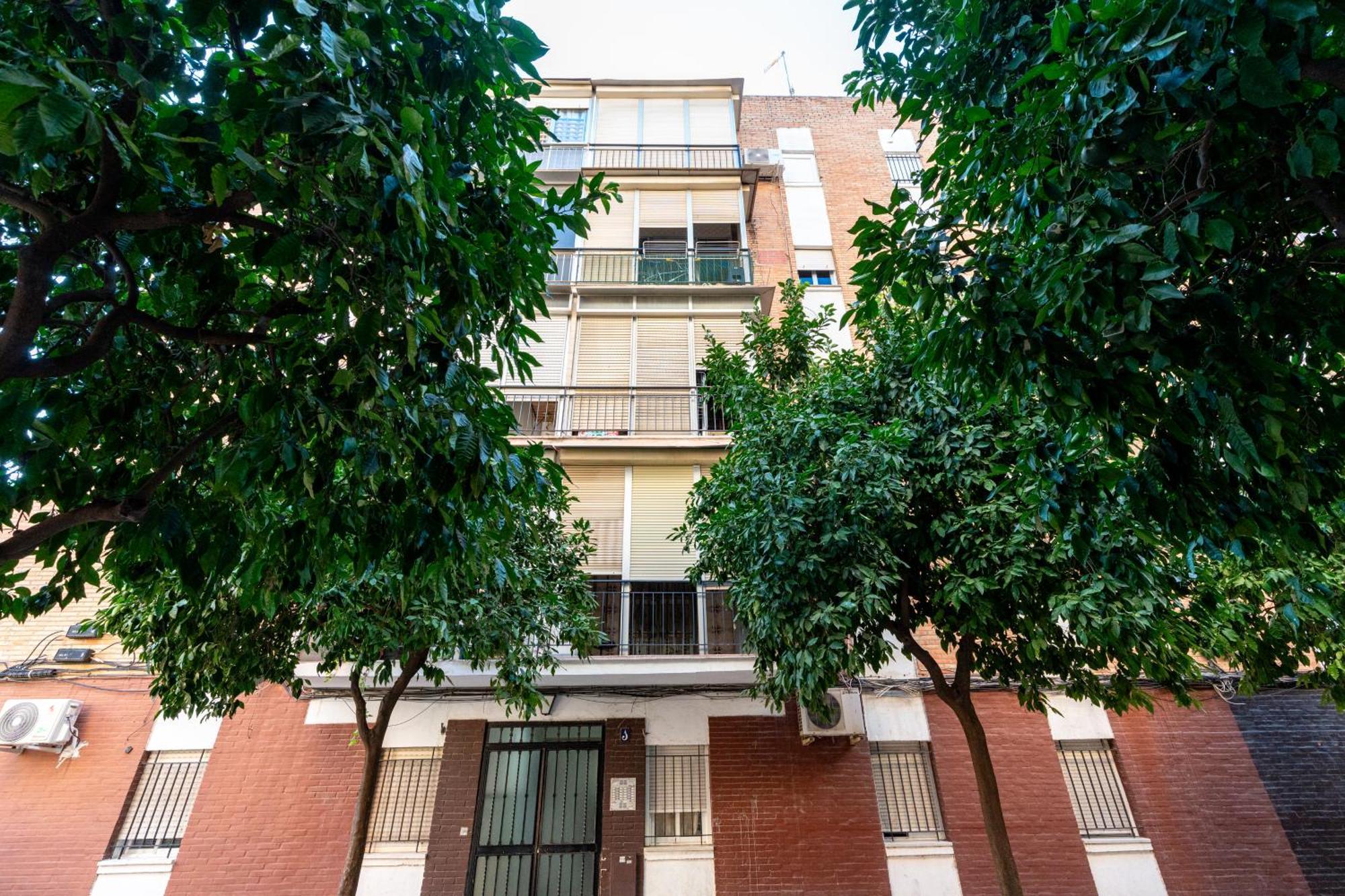 Piso Elegante Y Nuevo De 3 Habitaciones Y 2 Banos 塞维利亚 外观 照片